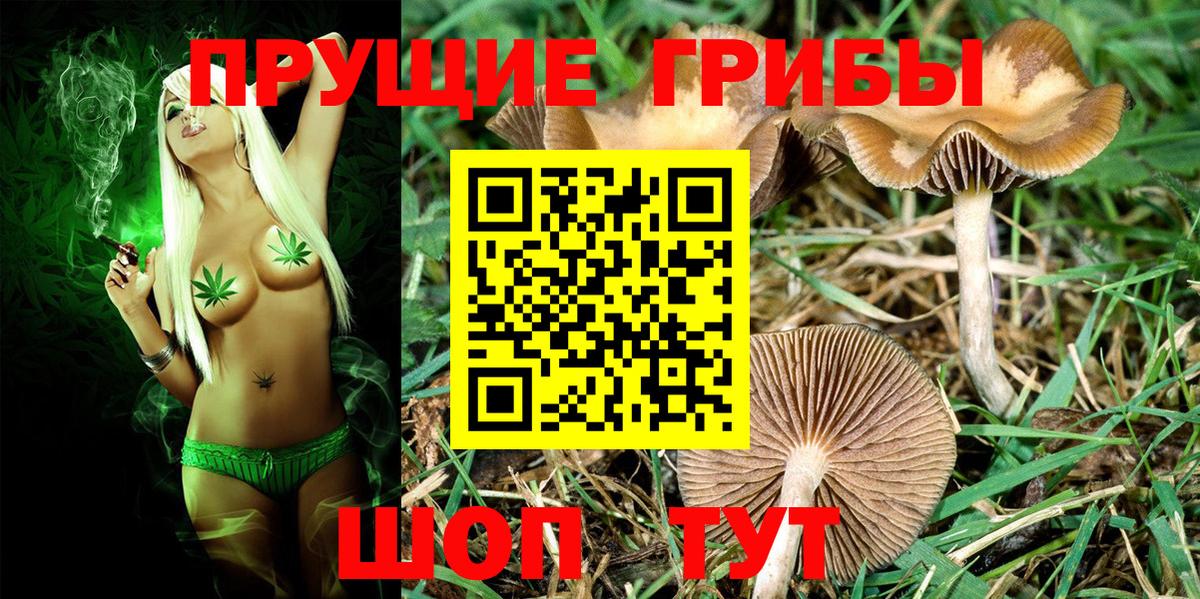 Галлюциногенные грибы Psilocybine cubensis  Псилоцибиновые грибы GOLDEN TEACHER  Вход с VPN  Чебаркуль 